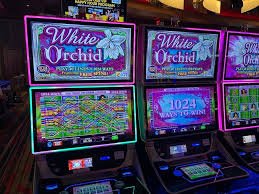 Treasures Aztec free spin bonus round in action